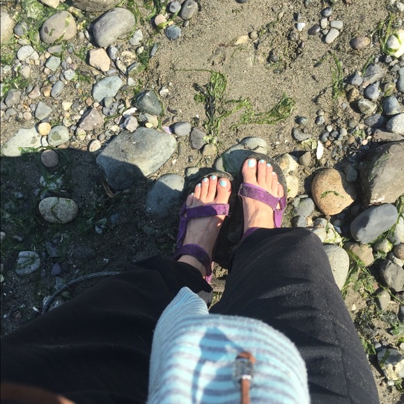 Meet your Posher, Darcy - Picture 2 of 4